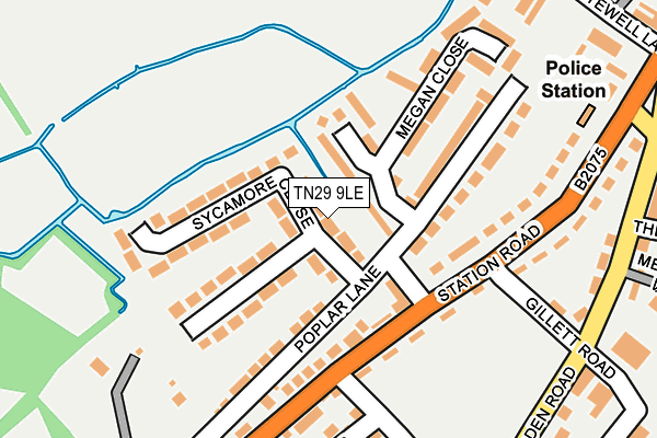 TN29 9LE map - OS OpenMap – Local (Ordnance Survey)