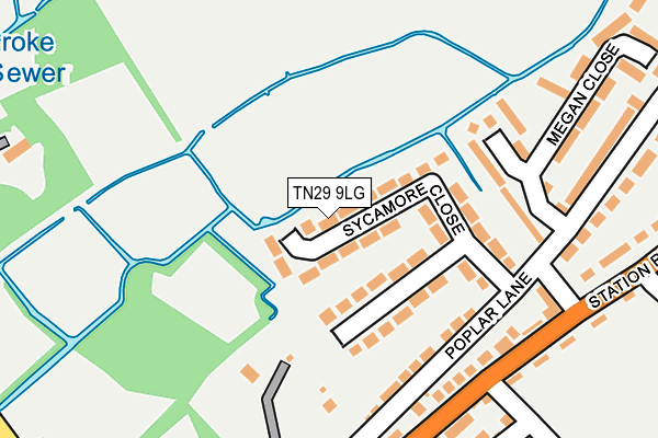 TN29 9LG map - OS OpenMap – Local (Ordnance Survey)