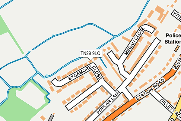 TN29 9LQ map - OS OpenMap – Local (Ordnance Survey)
