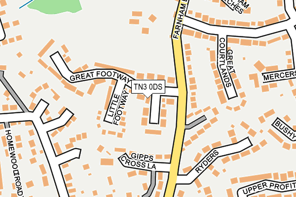 TN3 0DS map - OS OpenMap – Local (Ordnance Survey)