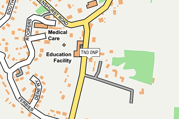 TN3 0NP map - OS OpenMap – Local (Ordnance Survey)