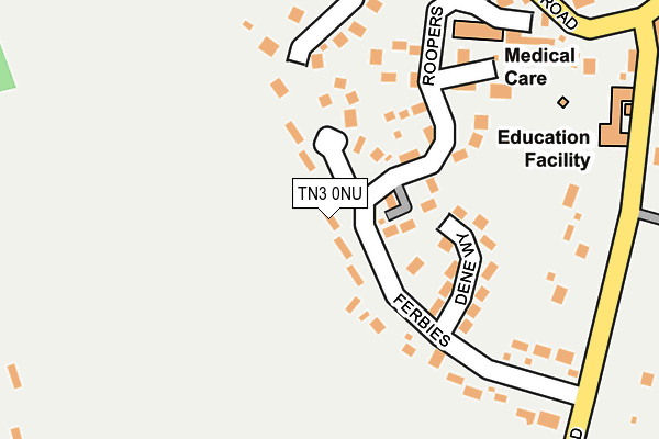 TN3 0NU map - OS OpenMap – Local (Ordnance Survey)