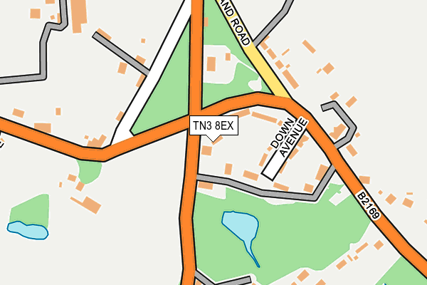 TN3 8EX map - OS OpenMap – Local (Ordnance Survey)