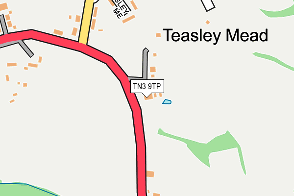 TN3 9TP map - OS OpenMap – Local (Ordnance Survey)