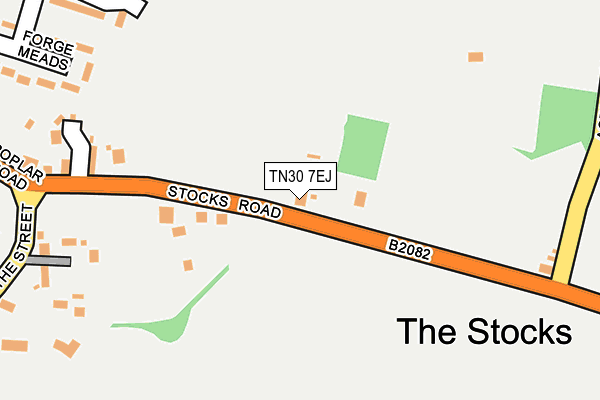 TN30 7EJ map - OS OpenMap – Local (Ordnance Survey)