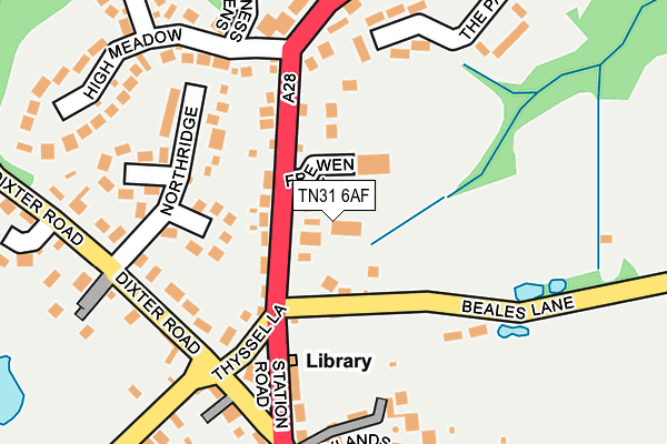 TN31 6AF map - OS OpenMap – Local (Ordnance Survey)