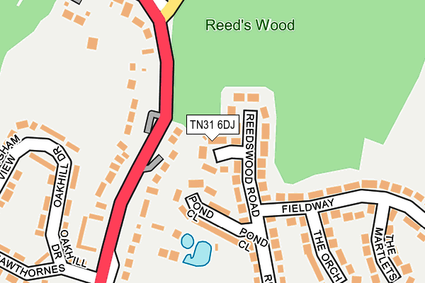 TN31 6DJ map - OS OpenMap – Local (Ordnance Survey)