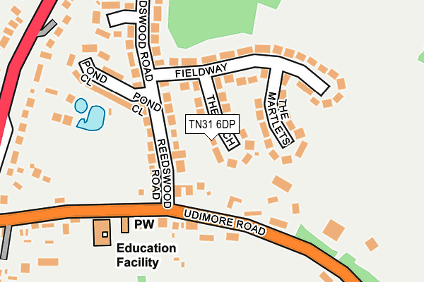 TN31 6DP map - OS OpenMap – Local (Ordnance Survey)