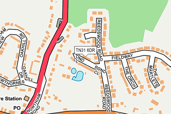 TN31 6DR map - OS OpenMap – Local (Ordnance Survey)