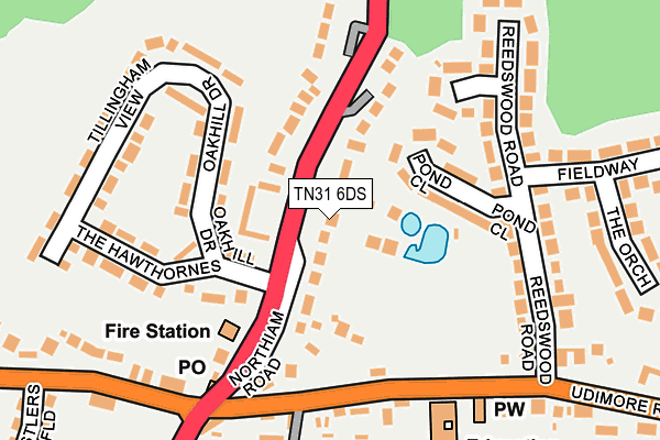 TN31 6DS map - OS OpenMap – Local (Ordnance Survey)