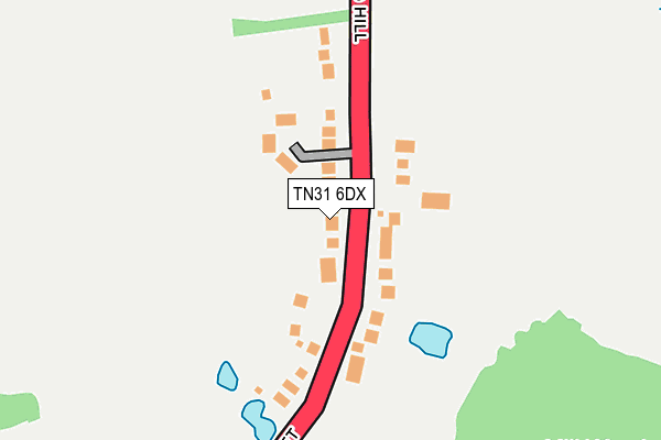TN31 6DX map - OS OpenMap – Local (Ordnance Survey)