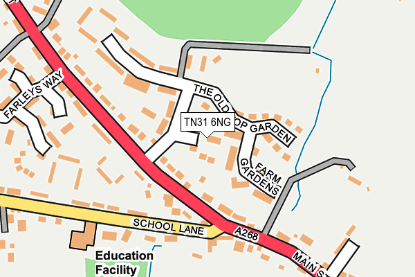 TN31 6NG map - OS OpenMap – Local (Ordnance Survey)