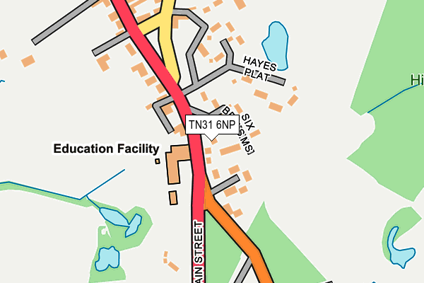 TN31 6NP map - OS OpenMap – Local (Ordnance Survey)