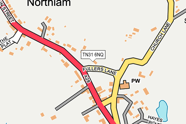 TN31 6NQ map - OS OpenMap – Local (Ordnance Survey)