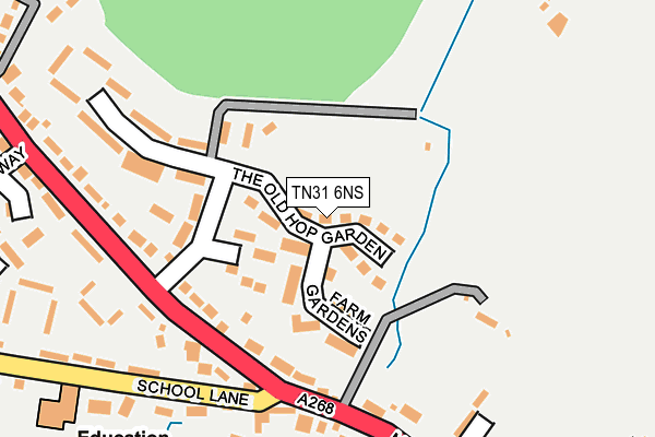 TN31 6NS map - OS OpenMap – Local (Ordnance Survey)