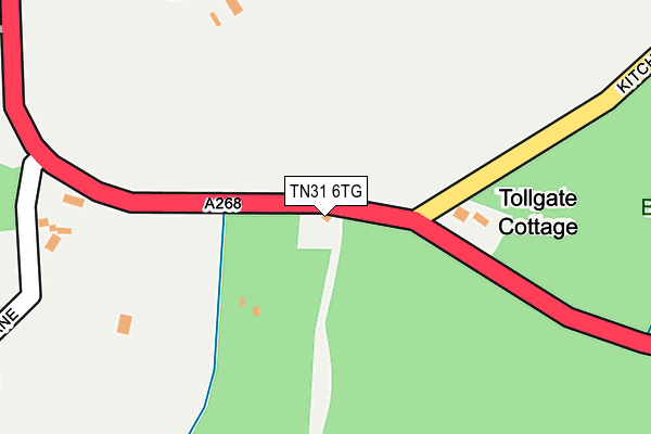 TN31 6TG map - OS OpenMap – Local (Ordnance Survey)