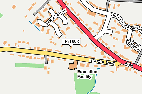 TN31 6UR map - OS OpenMap – Local (Ordnance Survey)