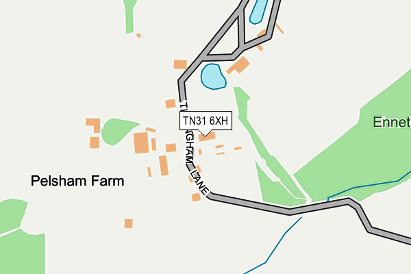 TN31 6XH map - OS OpenMap – Local (Ordnance Survey)