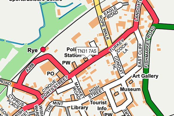 TN31 7AS map - OS OpenMap – Local (Ordnance Survey)