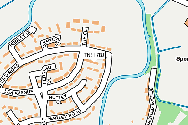 TN31 7BJ map - OS OpenMap – Local (Ordnance Survey)