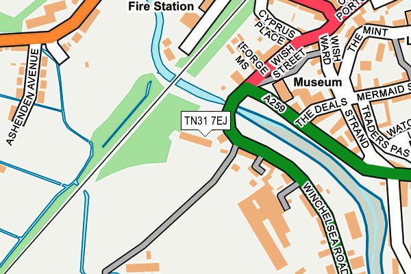 TN31 7EJ map - OS OpenMap – Local (Ordnance Survey)
