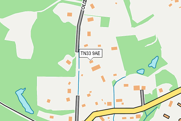 TN33 9AE map - OS OpenMap – Local (Ordnance Survey)