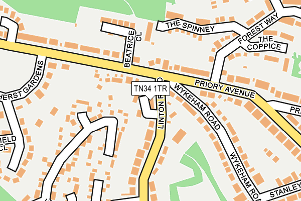 TN34 1TR map - OS OpenMap – Local (Ordnance Survey)