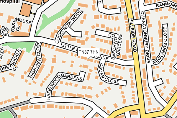 TN37 7HN map - OS OpenMap – Local (Ordnance Survey)