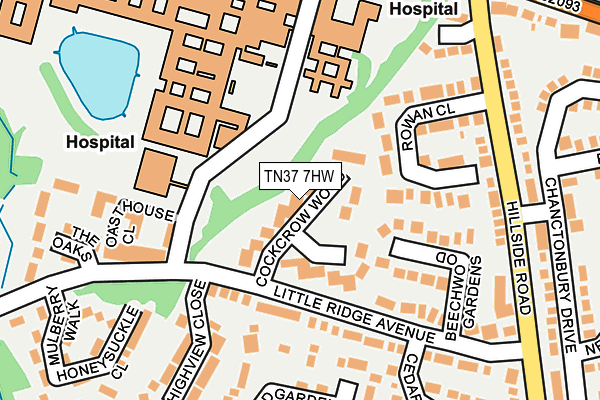 TN37 7HW map - OS OpenMap – Local (Ordnance Survey)