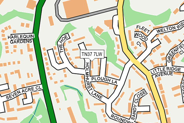 TN37 7LW map - OS OpenMap – Local (Ordnance Survey)
