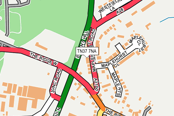 TN37 7NA map - OS OpenMap – Local (Ordnance Survey)
