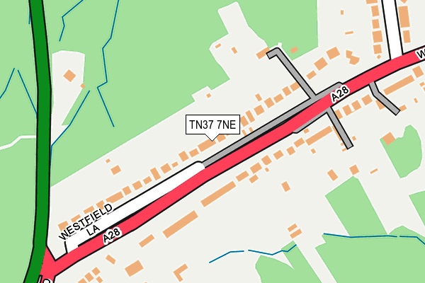 TN37 7NE map - OS OpenMap – Local (Ordnance Survey)