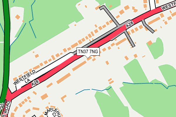 TN37 7NG map - OS OpenMap – Local (Ordnance Survey)