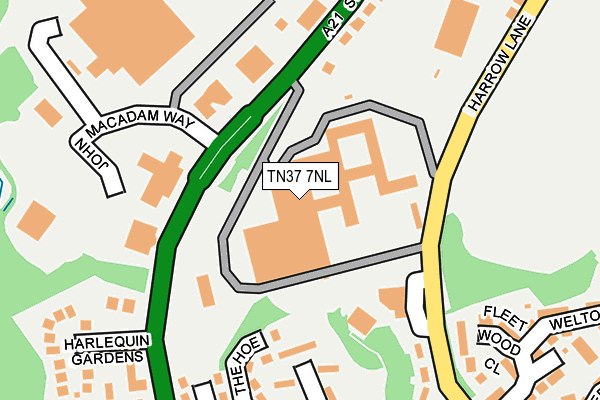 TN37 7NL map - OS OpenMap – Local (Ordnance Survey)