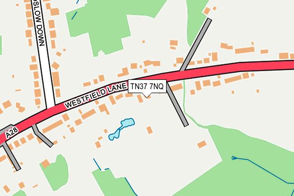 TN37 7NQ map - OS OpenMap – Local (Ordnance Survey)