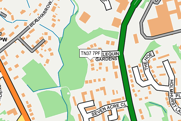 TN37 7PF map - OS OpenMap – Local (Ordnance Survey)