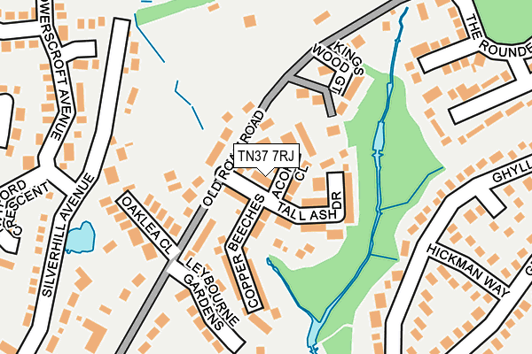 TN37 7RJ map - OS OpenMap – Local (Ordnance Survey)
