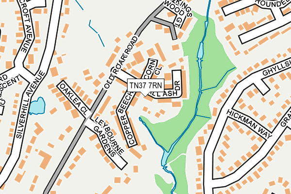 TN37 7RN map - OS OpenMap – Local (Ordnance Survey)