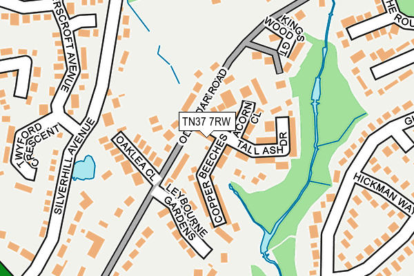 TN37 7RW map - OS OpenMap – Local (Ordnance Survey)