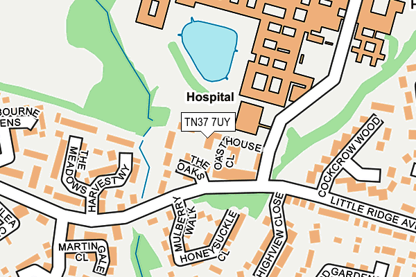 TN37 7UY map - OS OpenMap – Local (Ordnance Survey)