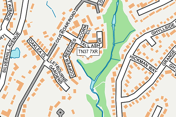 TN37 7XR map - OS OpenMap – Local (Ordnance Survey)