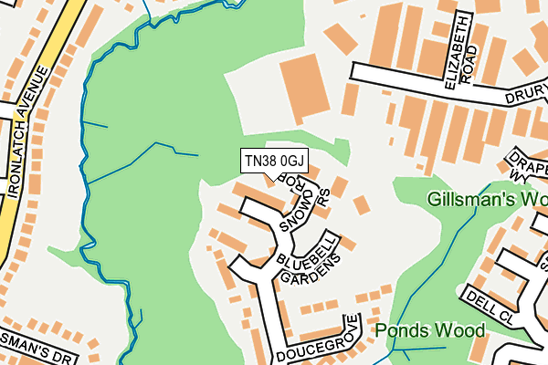 TN38 0GJ map - OS OpenMap – Local (Ordnance Survey)