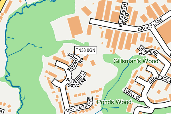 TN38 0GN map - OS OpenMap – Local (Ordnance Survey)