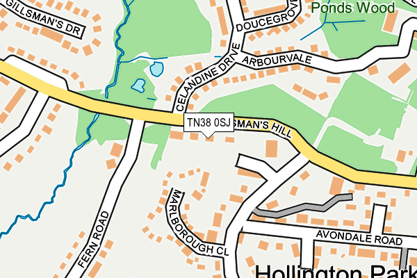 TN38 0SJ map - OS OpenMap – Local (Ordnance Survey)