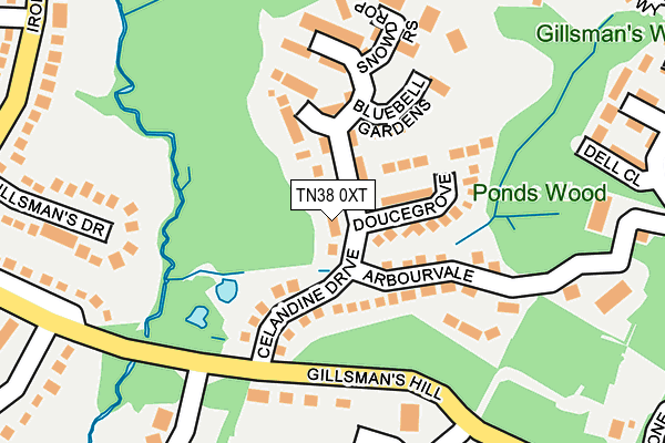 TN38 0XT map - OS OpenMap – Local (Ordnance Survey)