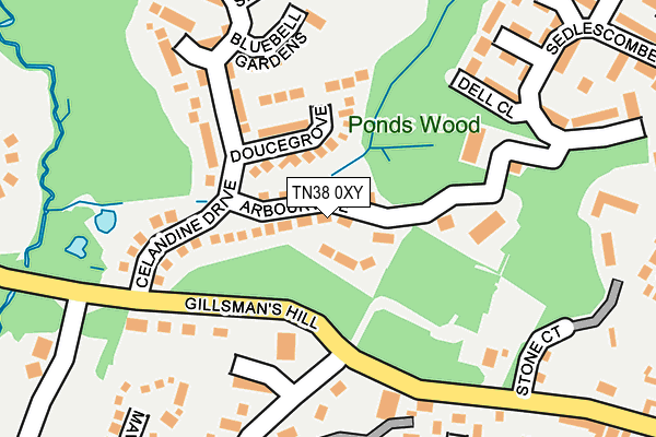 TN38 0XY map - OS OpenMap – Local (Ordnance Survey)