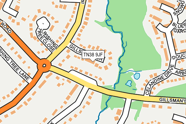 TN38 9JF map - OS OpenMap – Local (Ordnance Survey)