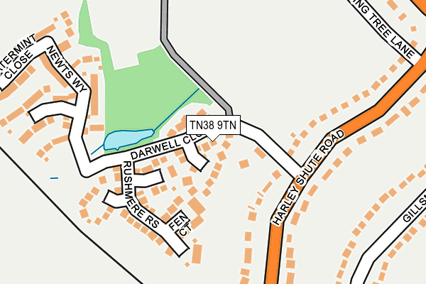 TN38 9TN map - OS OpenMap – Local (Ordnance Survey)