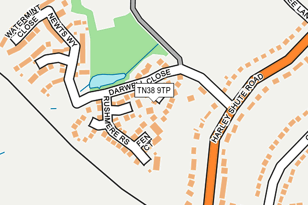 TN38 9TP map - OS OpenMap – Local (Ordnance Survey)
