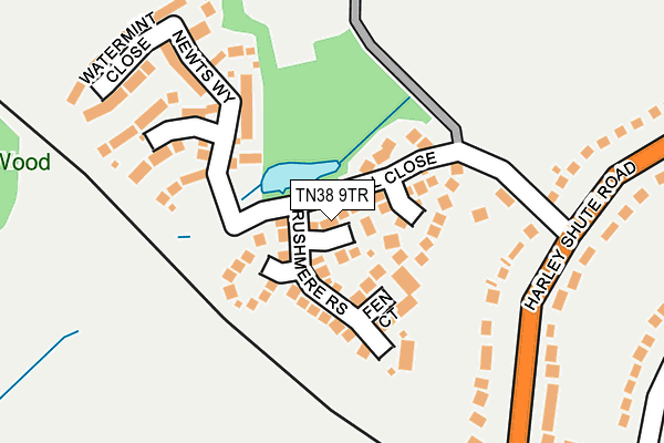 TN38 9TR map - OS OpenMap – Local (Ordnance Survey)